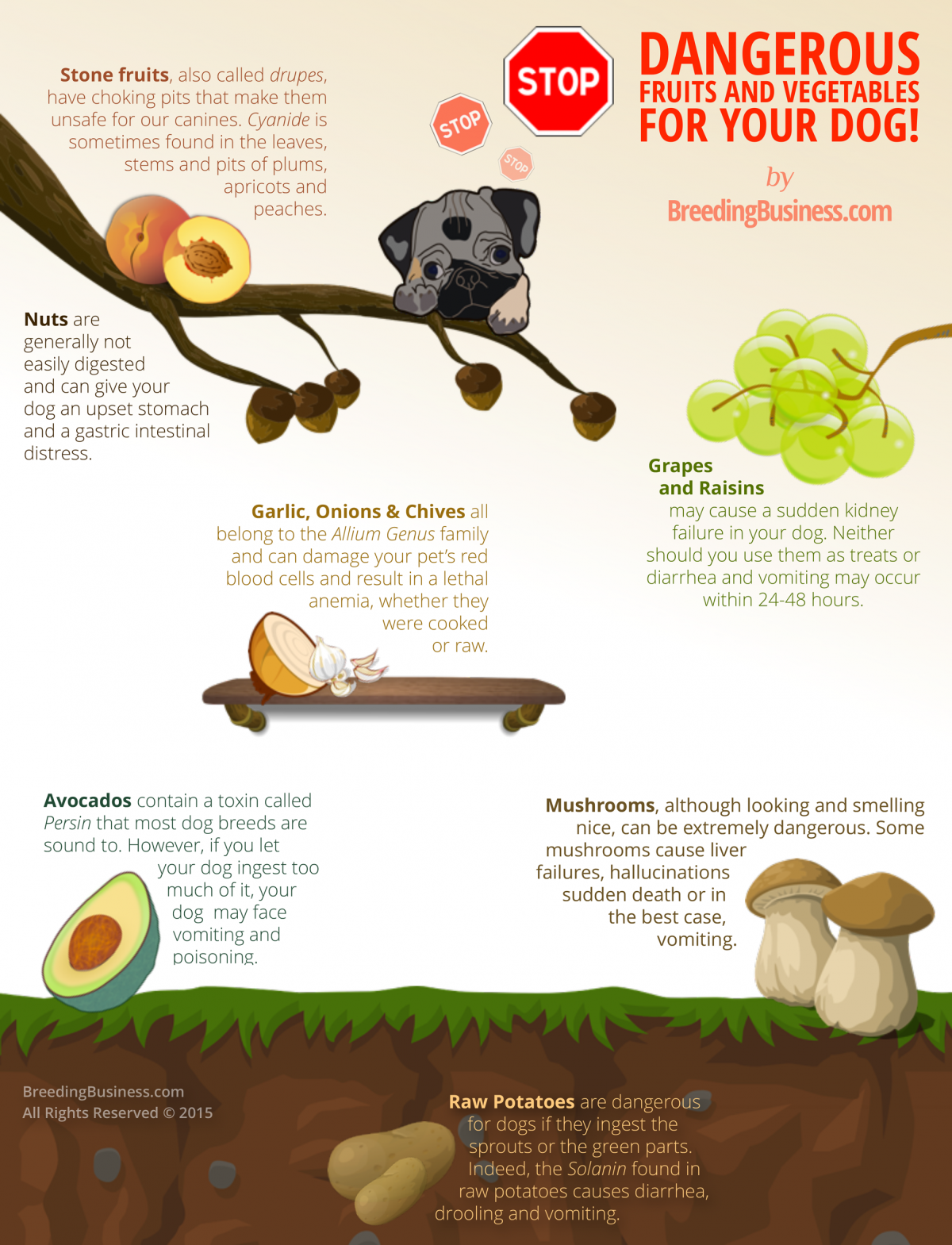 Dangerous Fruits & Vegetables For Dogs! Nuts, Grapes, etc.