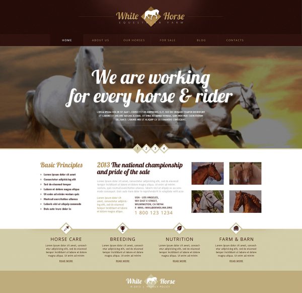 Gorgeous Horses WordPress Theme by Template Monster