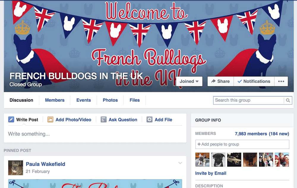 Facebook Group FRENCH BULLDOGS IN THE UK