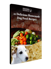 21 Delicious Homemade Dog Food Recipes