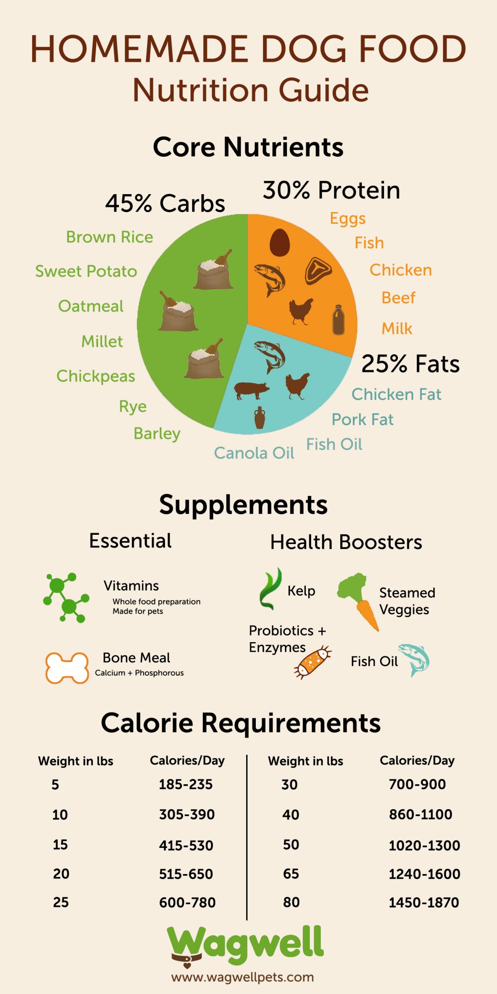 10+ Best Dog Food & Nutrition Infographics Ever Made