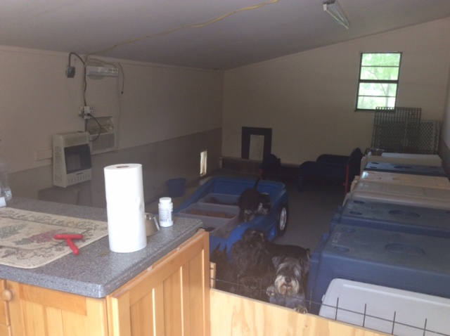 Inside Findell Kennels' Main Kennel