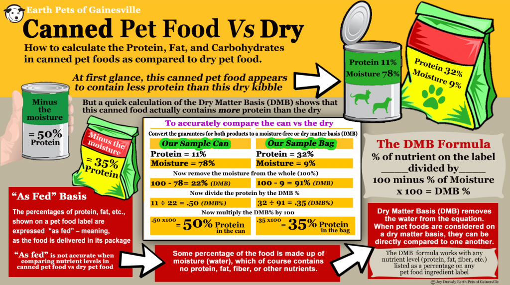 Dry Kibble vs Canned Dog Food