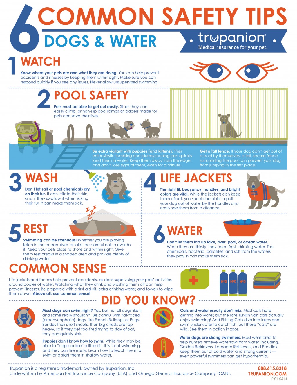 After Fire... Water Safety Tips & Information For Pooches