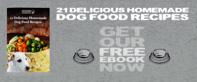 Our New Free Ebook: 20+ Homemade Dog Food Recipes!