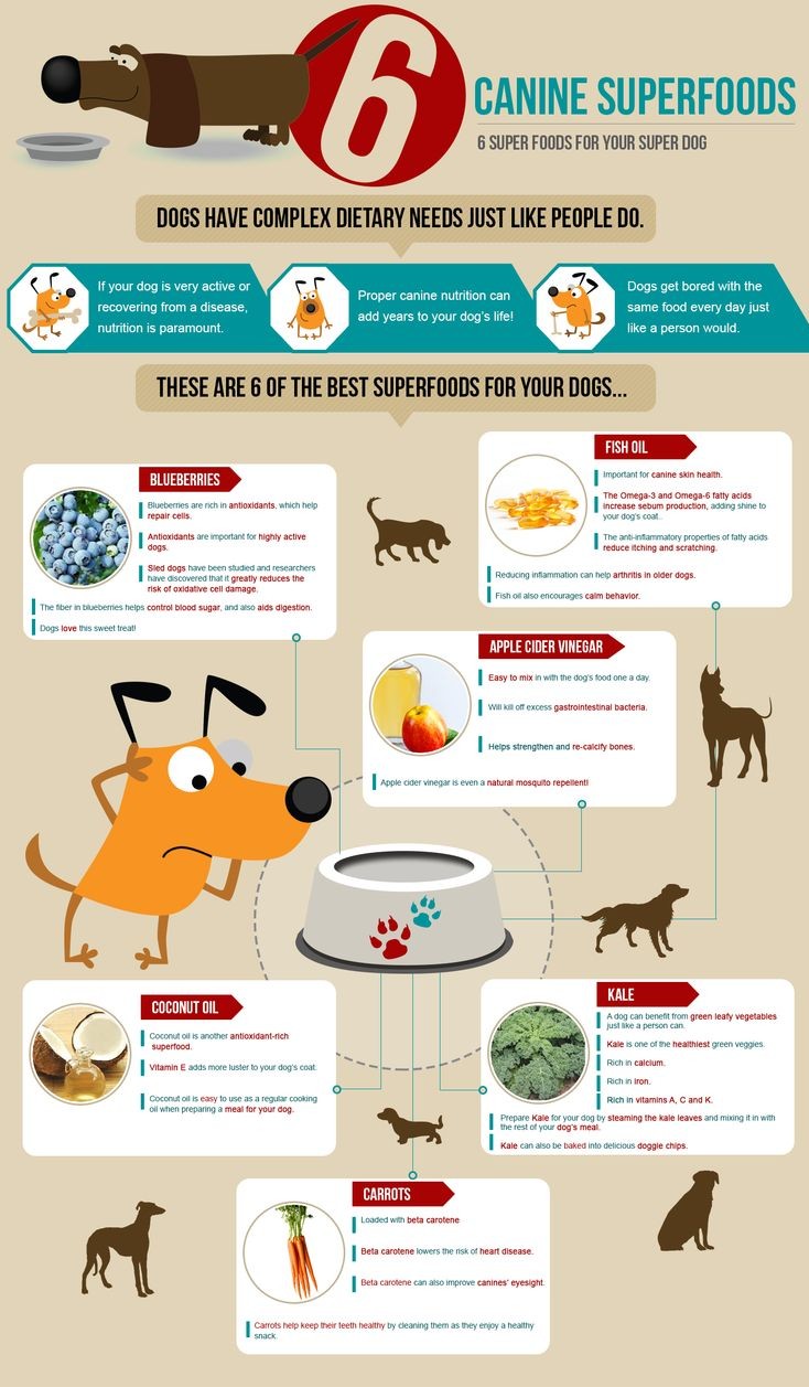 Dog Superfoods