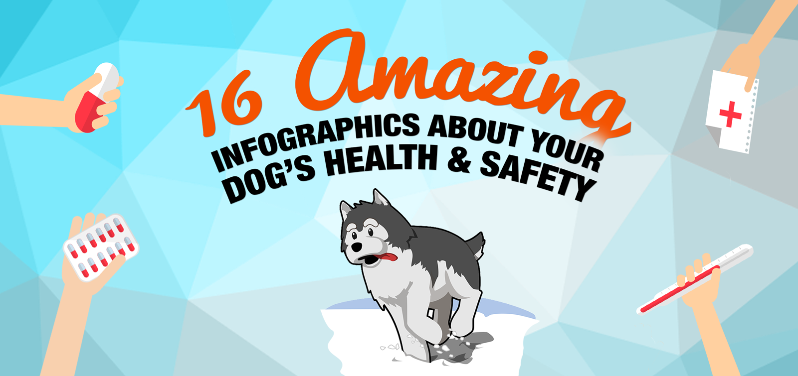 Dog Health & Safety Infographics
