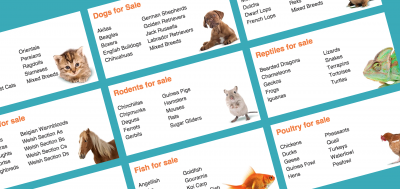 Homepage of Pets4Homes: famous Classifieds Ads Website in UK