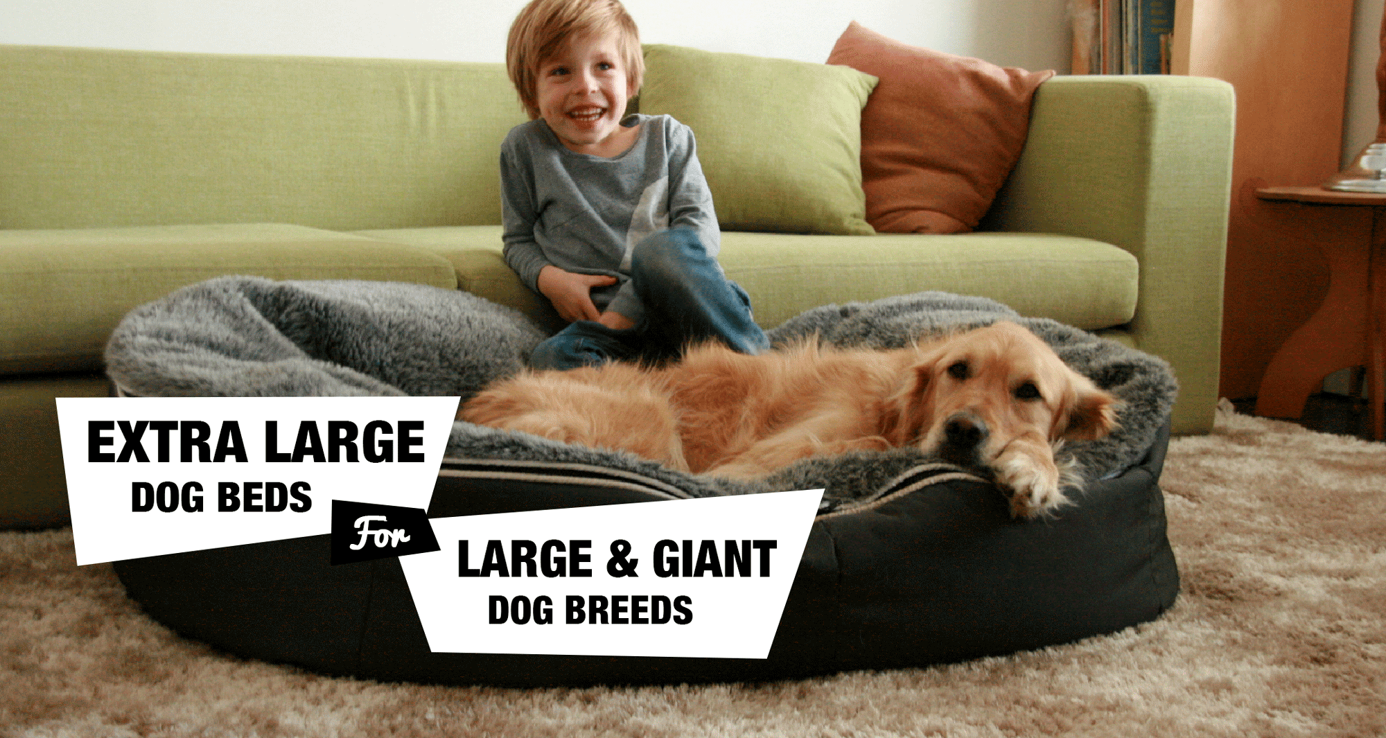 10 Extra Large Dog Beds For XL XXL Dog Breeds Reviewed   Extra Large Dog Beds Best Reviews 