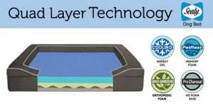 Sealy Dog Bed with Quad Layer Technology