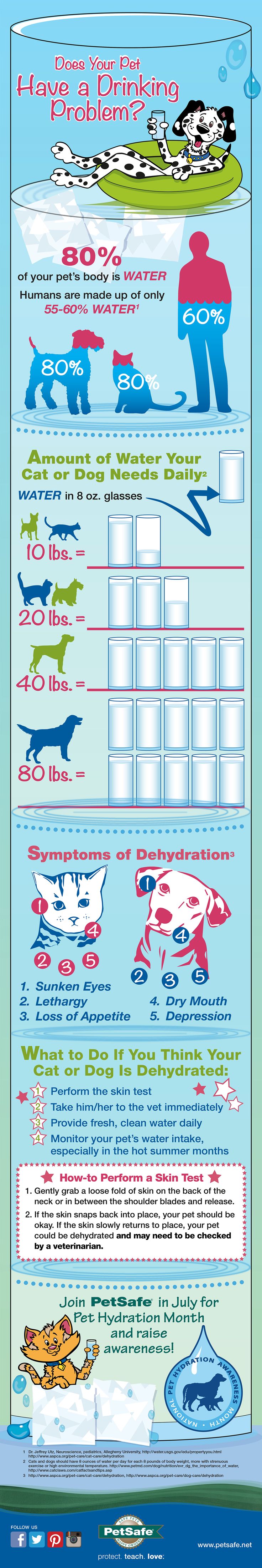 Dehydration In Dogs & Water Needs