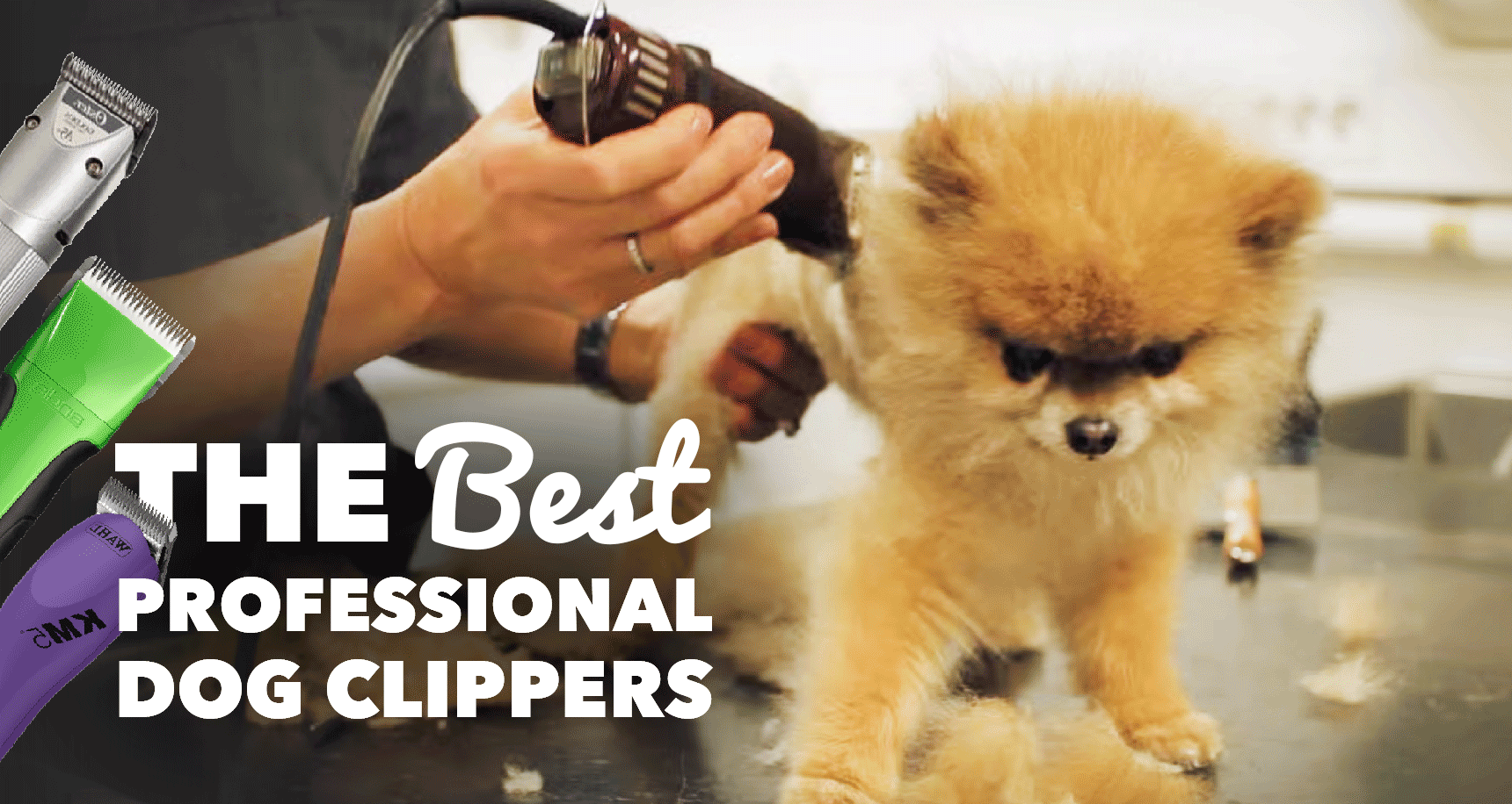 12 Best Dog Clippers For Professional Groomers 2024 Reviews   Review Best Professional Dog Clippers Social 