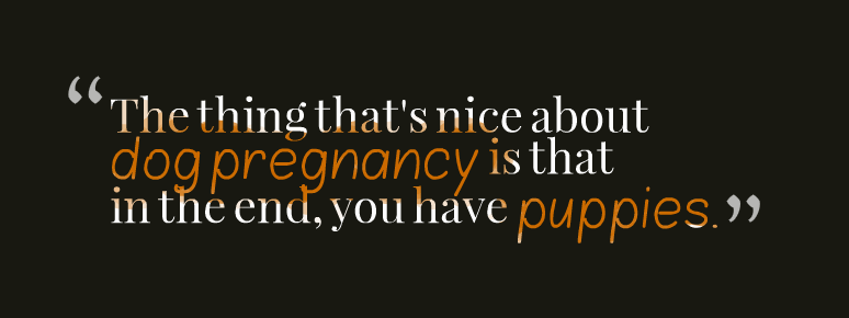 Quote Dog Pregnancy Puppies