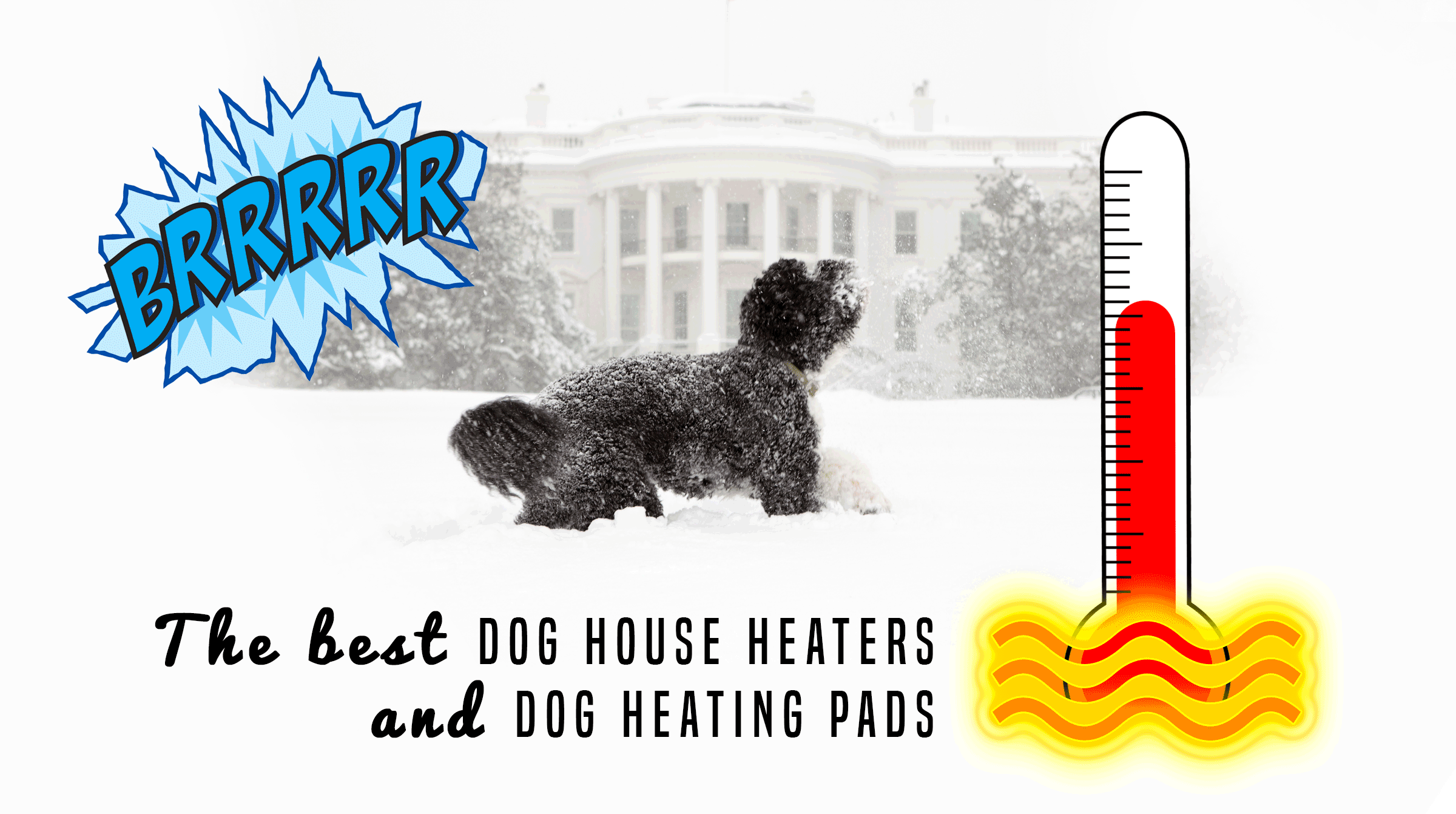 best dog house heaters and dog heating pads