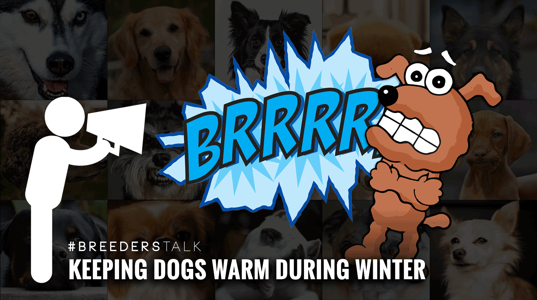Breeders talk about keeping dogs warm during subzero and coldest days