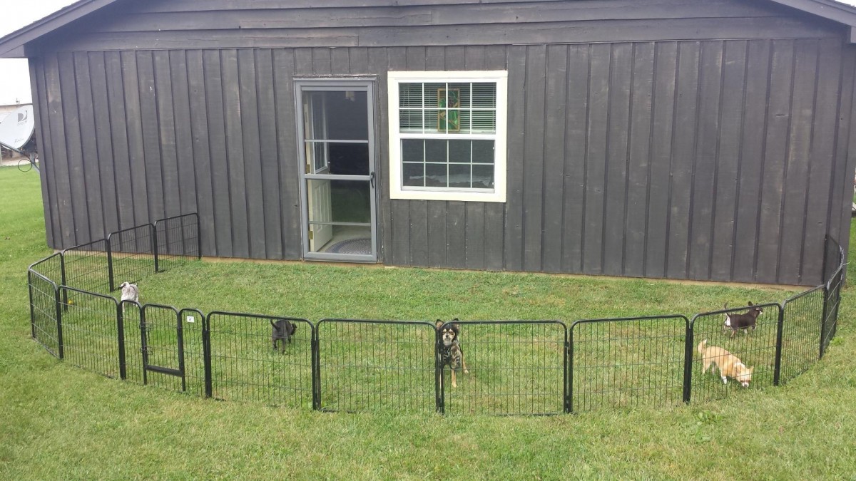 Outdoor puppy outlet pen