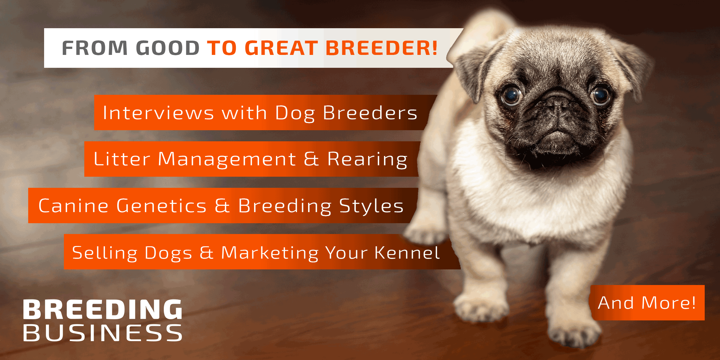 Can You Negotiate Price With A Dog Breeder - COGODI