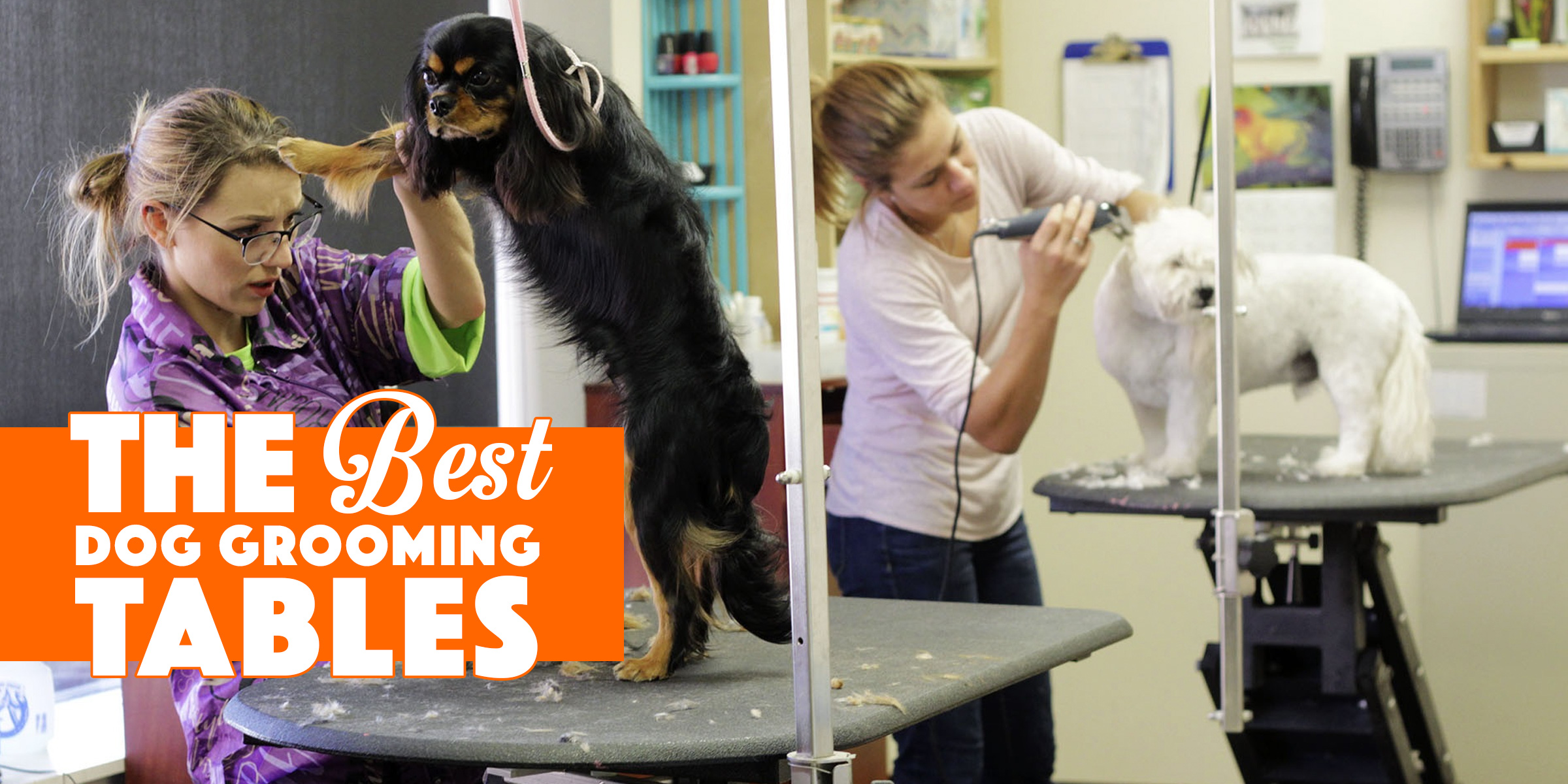 best dog grooming table