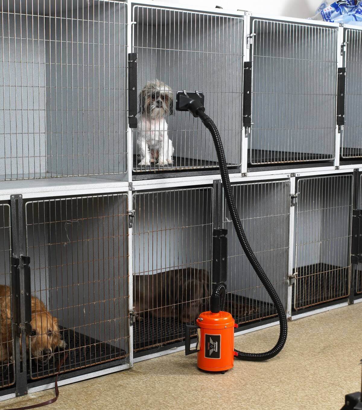 Top 4 k-9 iii dog grooming dryer australia tốt nhất - 2022 The Crescent