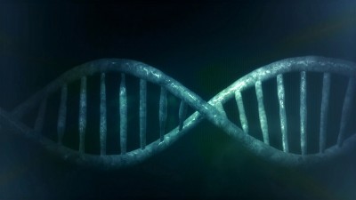 Cells, DNA, Chromosomes & Genes