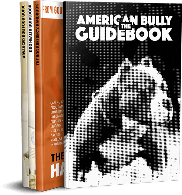 american bully ebook guide