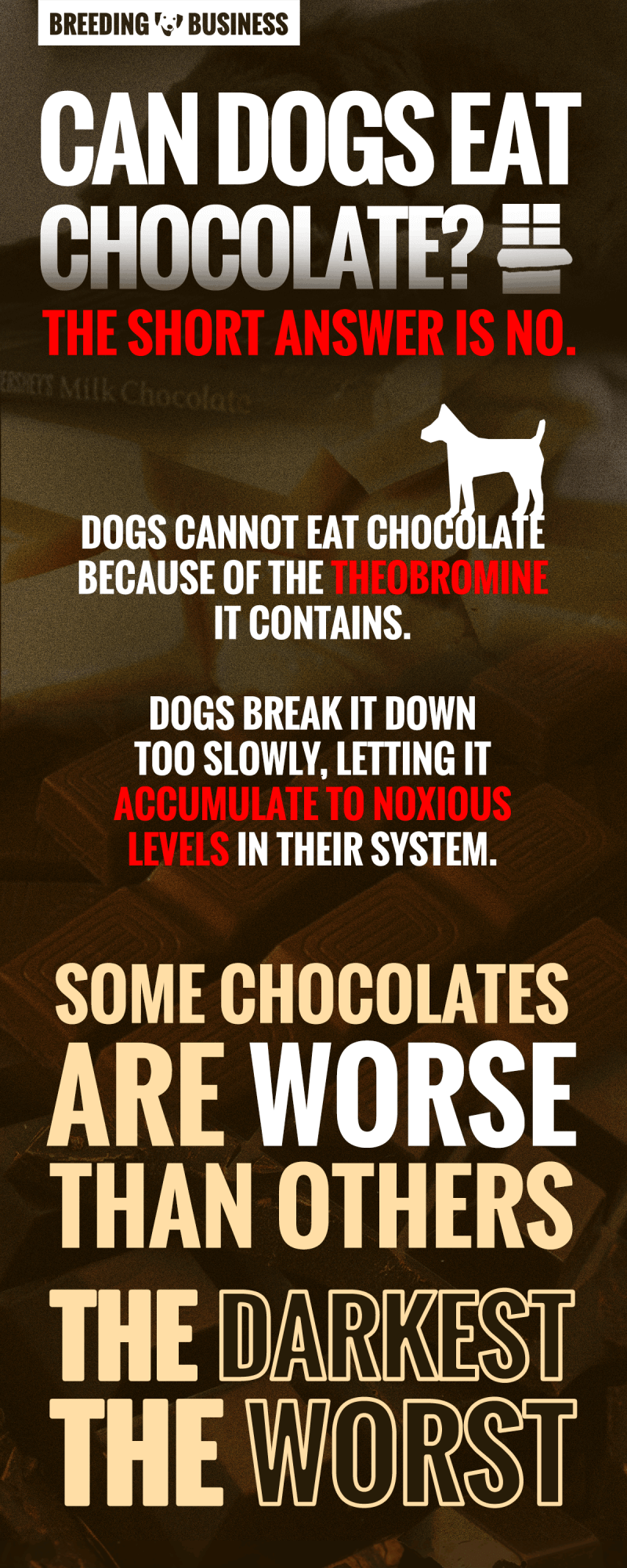 can dogs eat chocolate