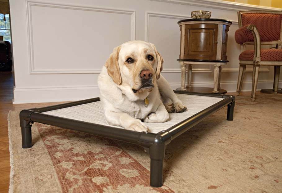 Kuranda Dog Bed Size Chart