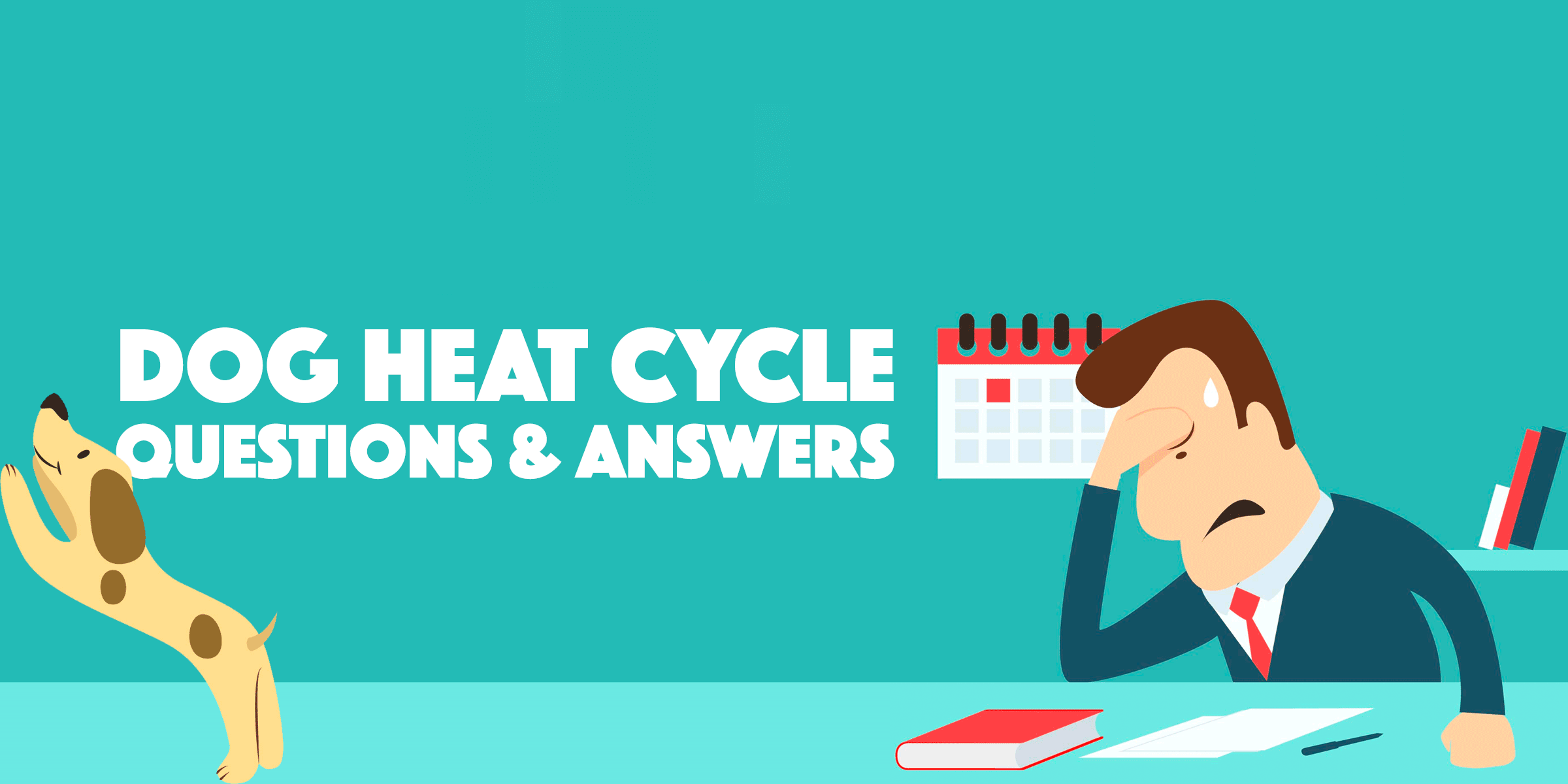 Dog Heat Cycle & Season