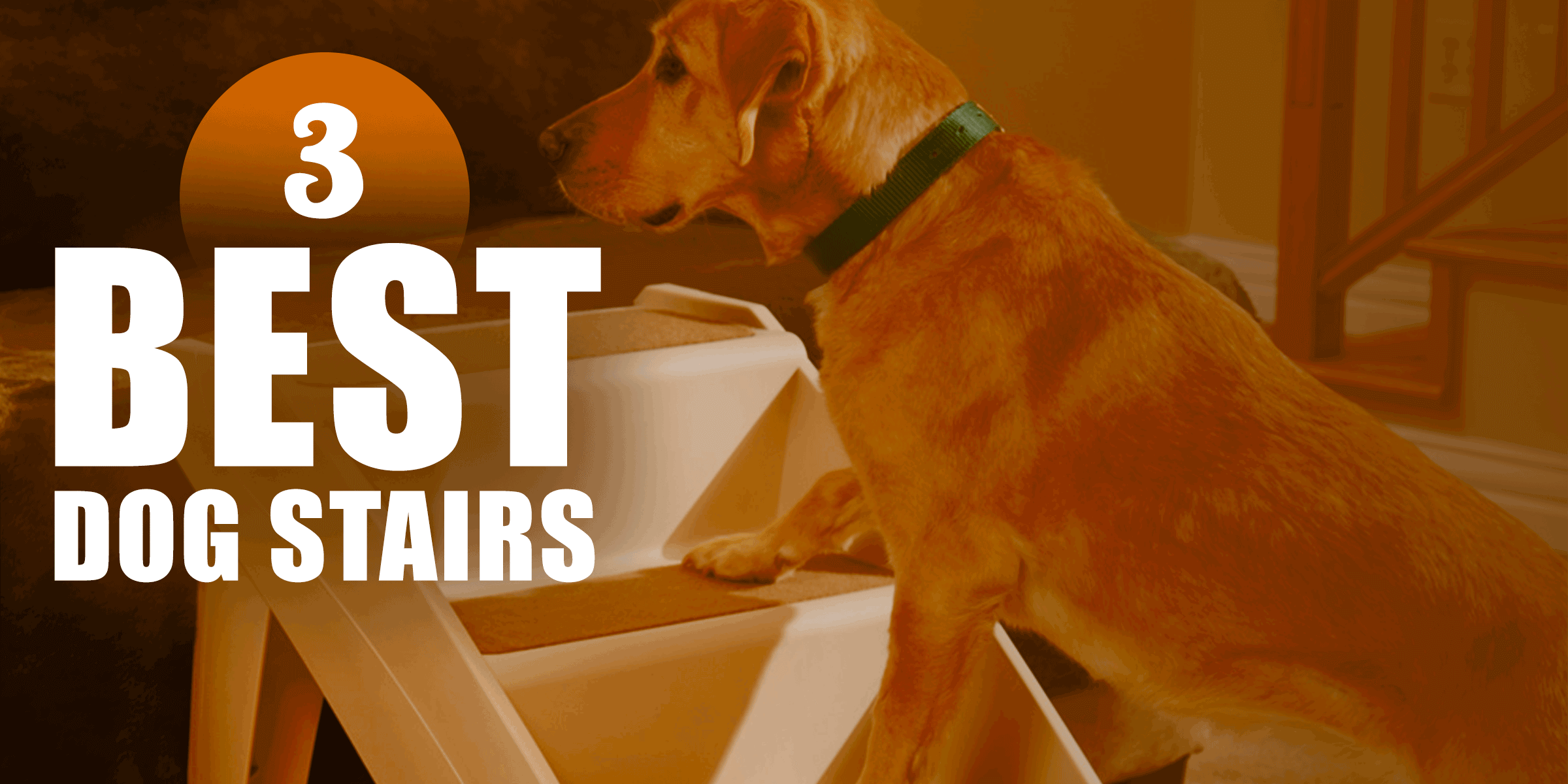 MALOROY Foldable Dog Stairs for Small Dogs 3 Tiers Dog Steps for Couch Bed Hold up to 60 lbs Small Medium and Large Dogs 