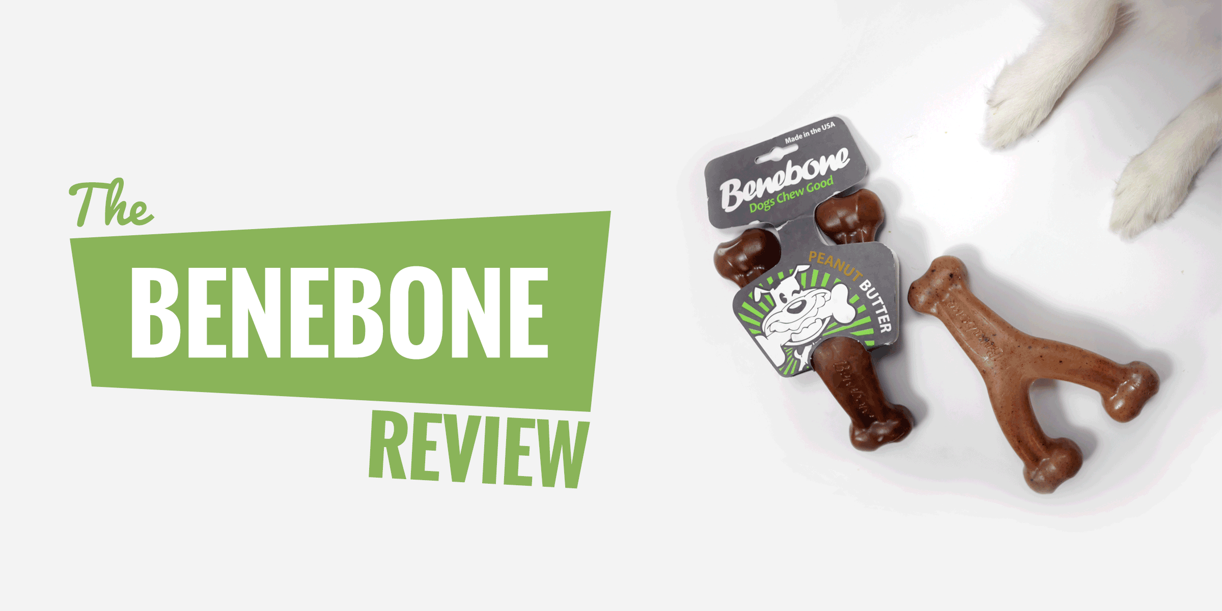 Benebone Review