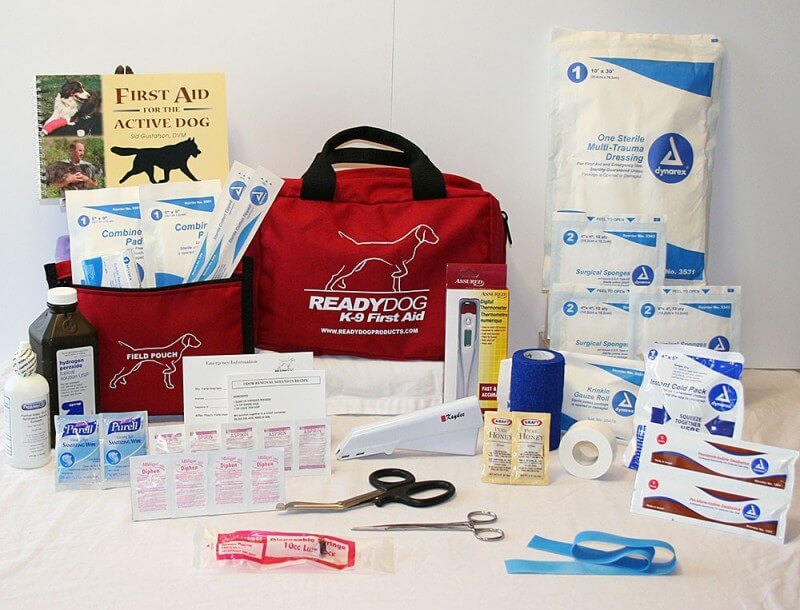 Example first aid kit for dogs