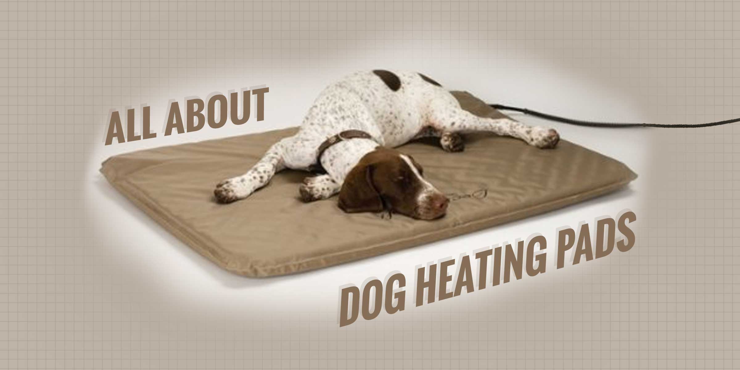 dog heating pads