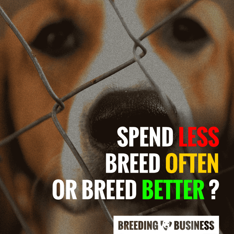 how much does a dog breeder make