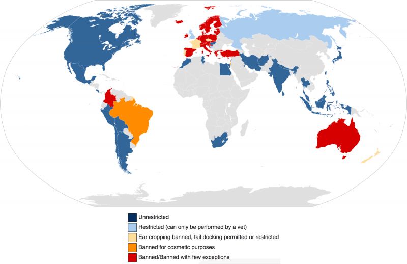 Pitbull Ear Cropping Styles Chart