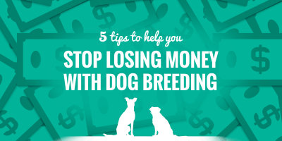 How To Stop Losing Money With Dog Breeding