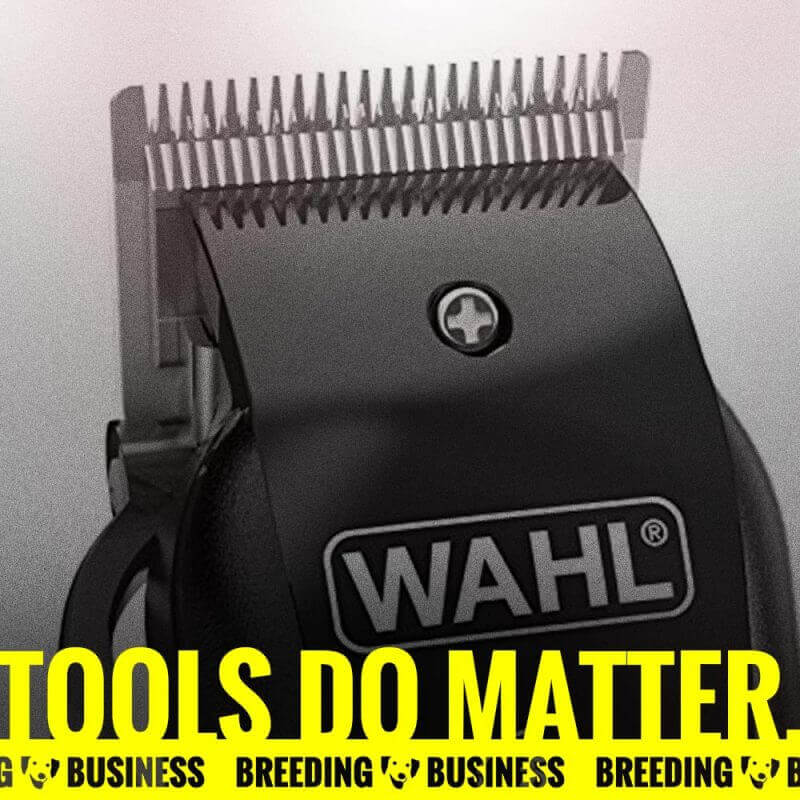 Dog clippers and grooming tools matter.