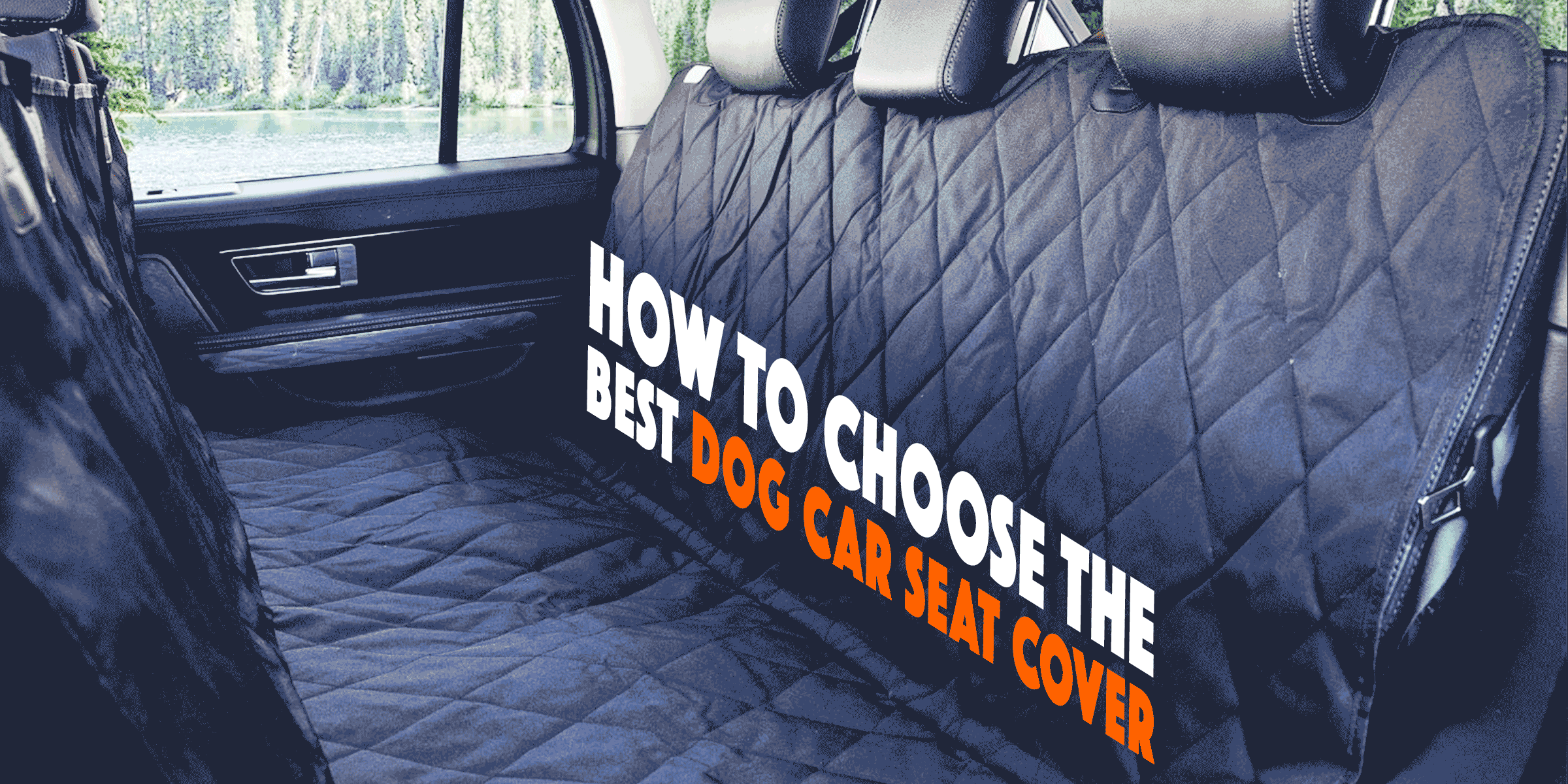 car dog seat cover