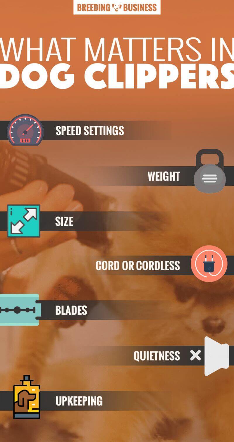 best dog clippers infographics