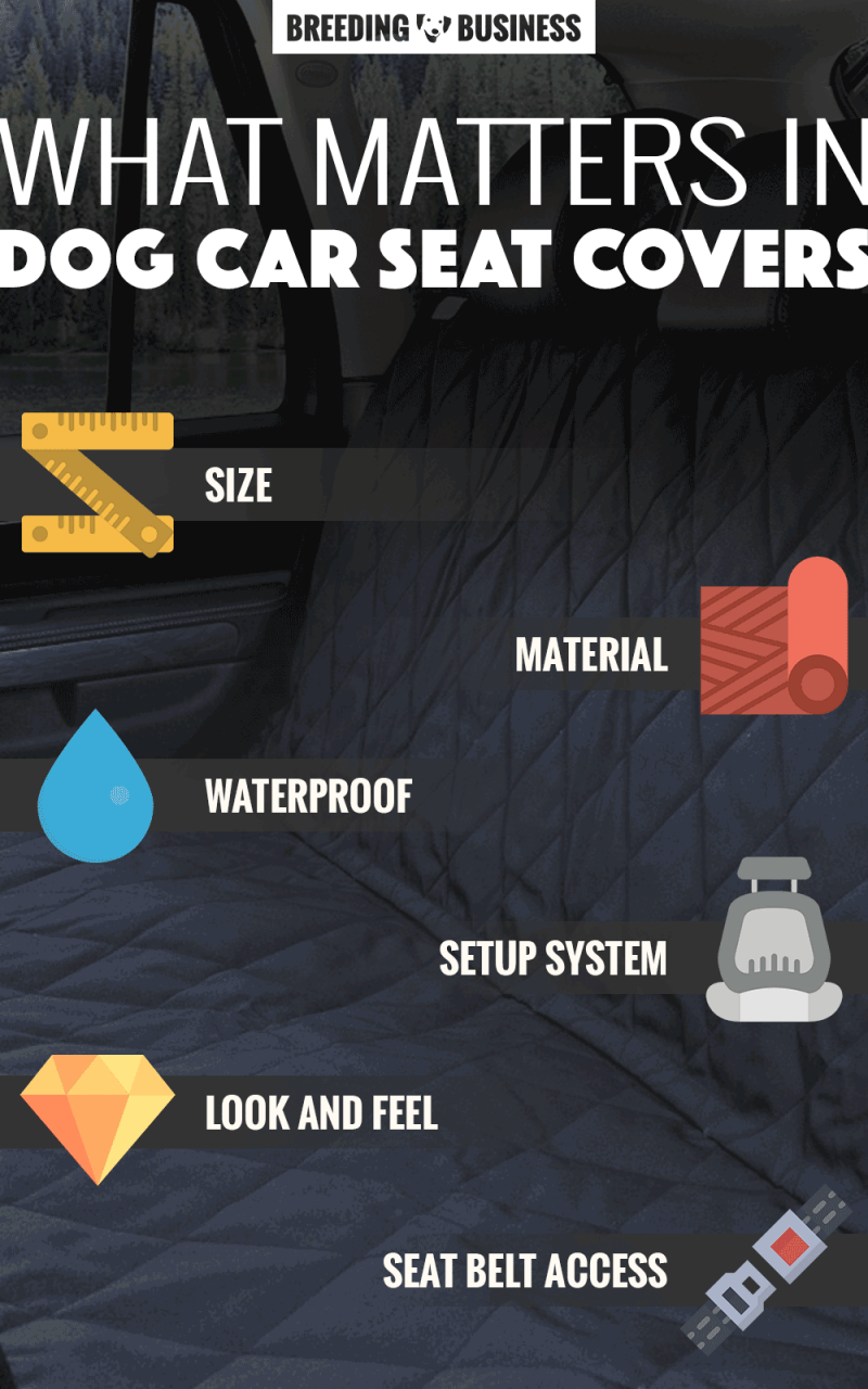 dog car seat covers infographic