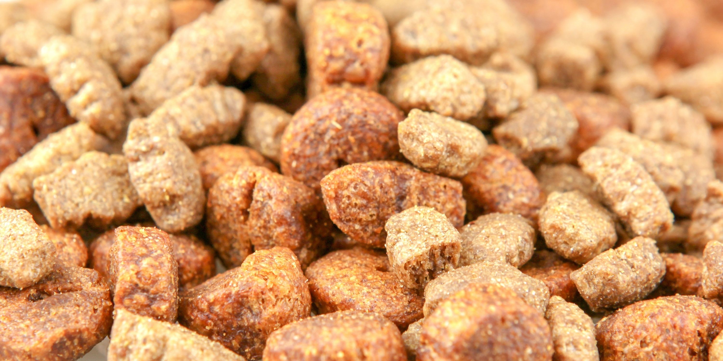 Best Grain-Free Dog Foods