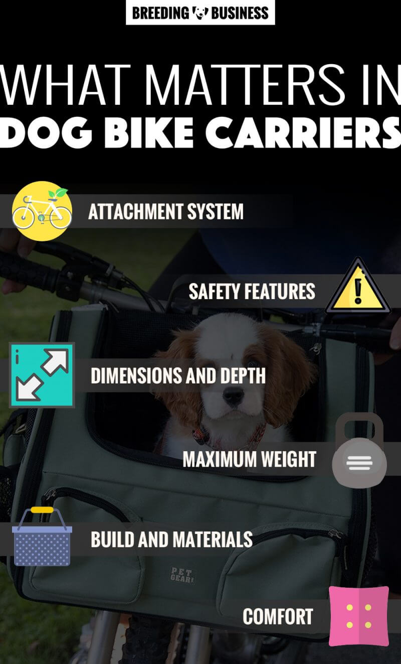best dog bike carriers infographics