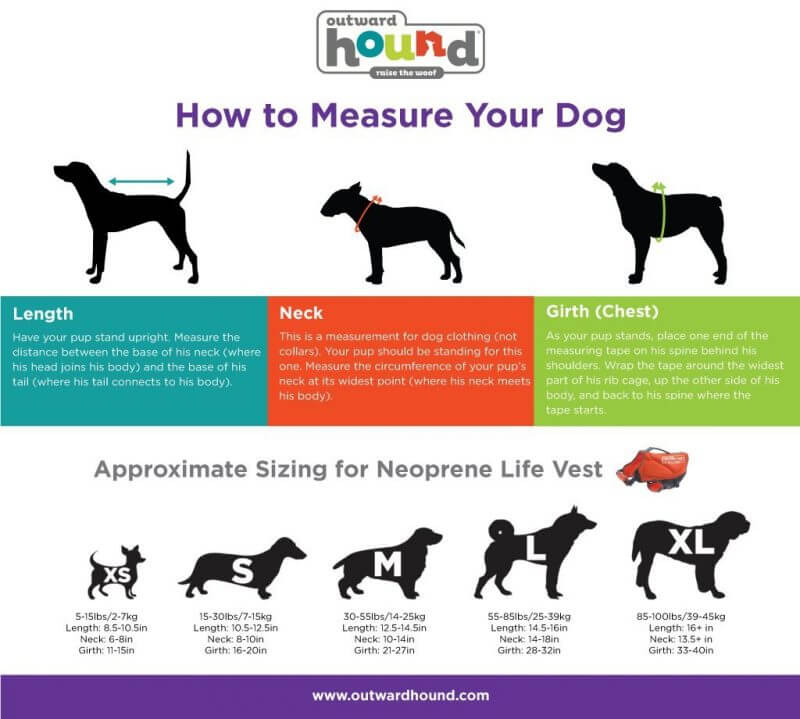 dog lifejackets measurements