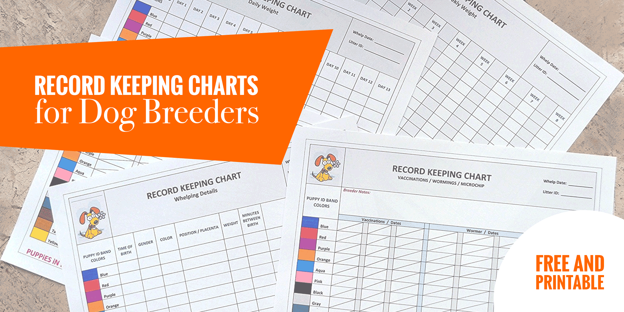 Weekly Puppy Weights Chart Breeder Litter Records Forms Canva Template US  Letter Size Printable PDF Editable Instant Download. 