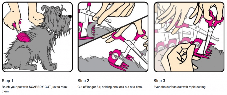 Beautiful view of Pet Clippers For Anxious Animals At Home