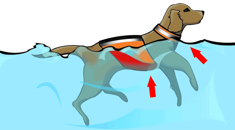 dog life vest floatation material and buoyancy