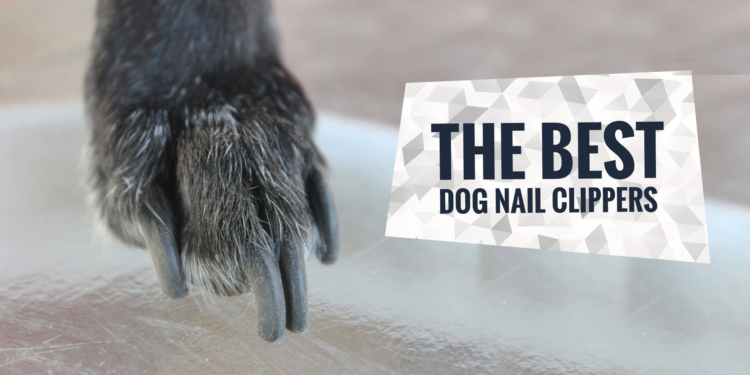 Best Dog Nail Clippers & Grinders