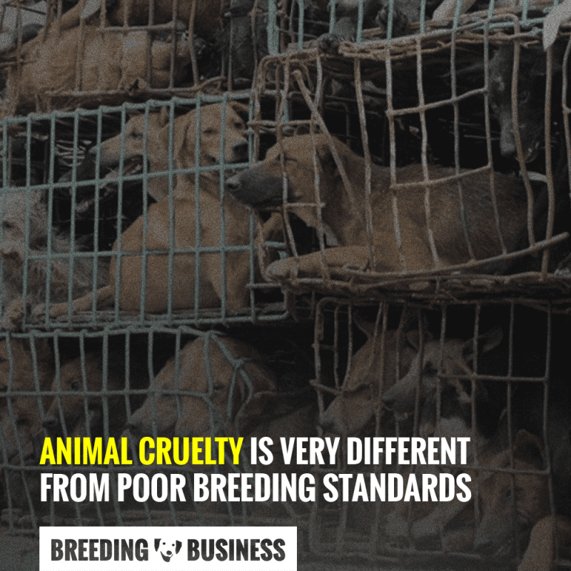 difference animal cruelty poor breeding standards