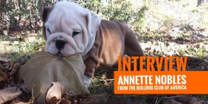 Interview with Annette Nobles from the Bulldog Club of America