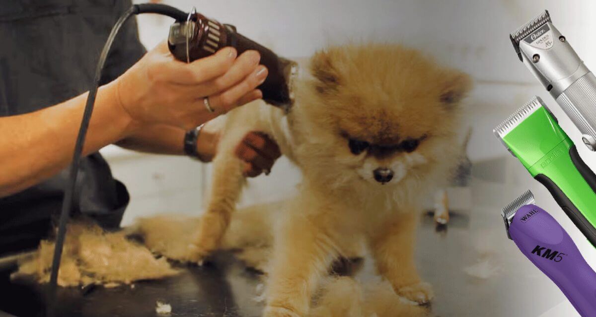 wahl pet pro clippers