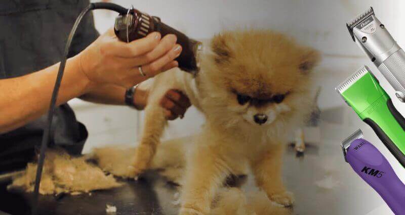12 Best Dog Clippers For Professional Groomers [2023 Reviews]